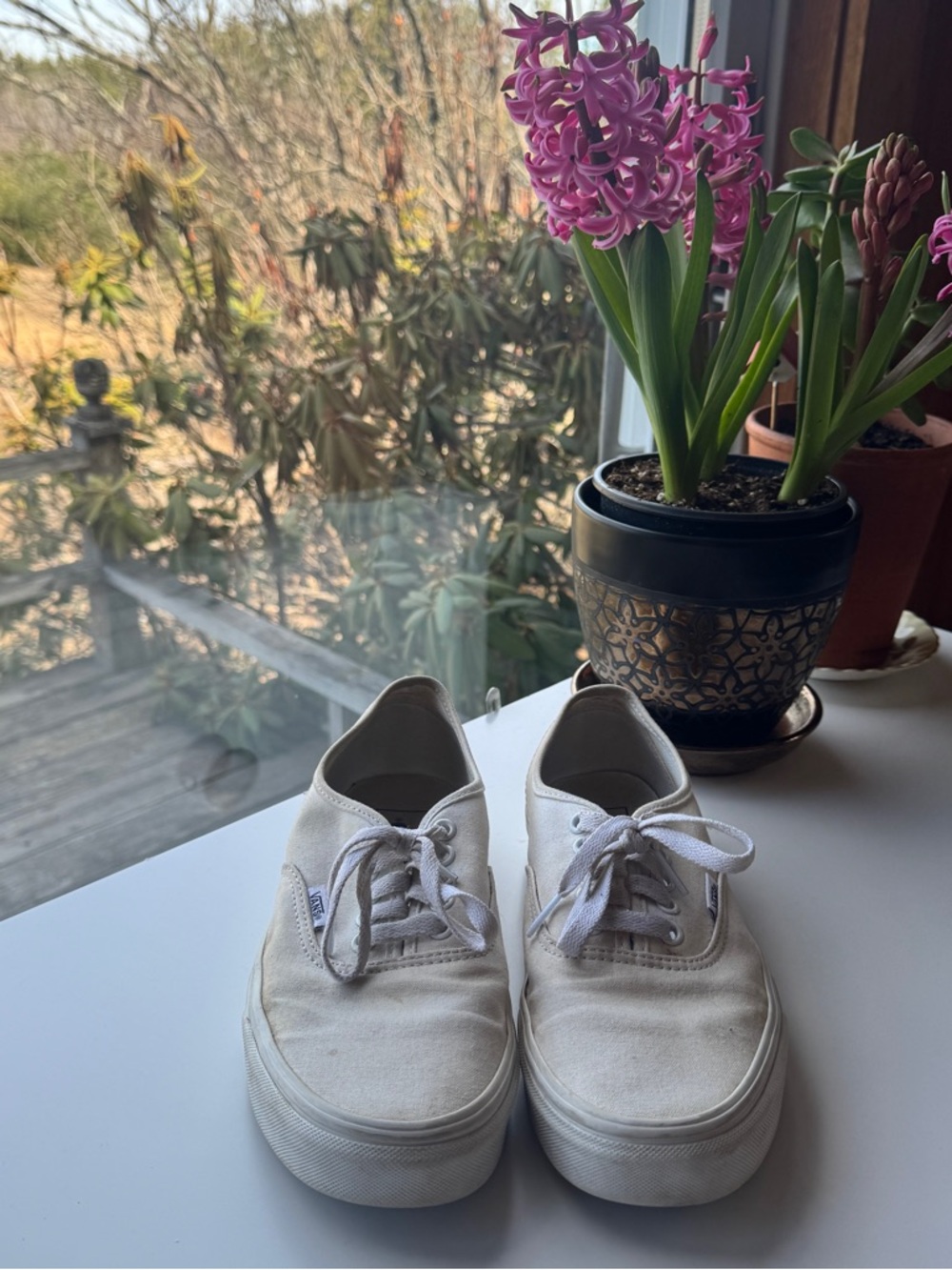 Vans White Canvas Authentic Sneakers